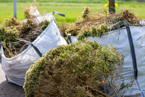Trusted Wallenpaupack Lake Estates, PA Junk Removal Experts